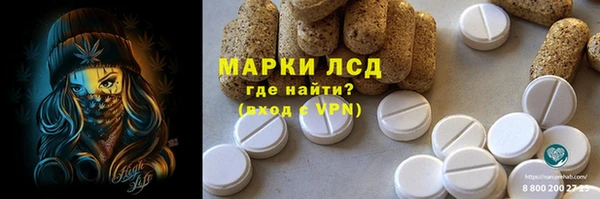 шишки Медногорск