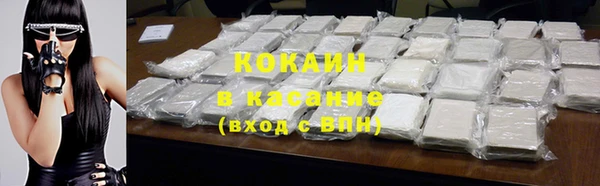 ПСИЛОЦИБИНОВЫЕ ГРИБЫ Медвежьегорск