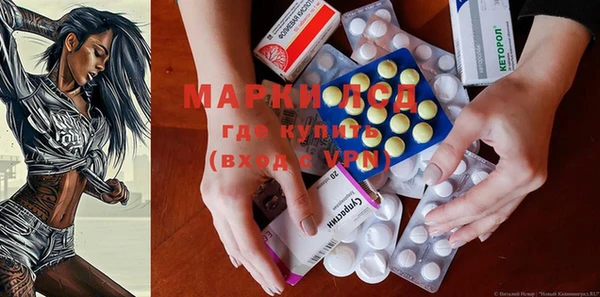 ПСИЛОЦИБИНОВЫЕ ГРИБЫ Медвежьегорск
