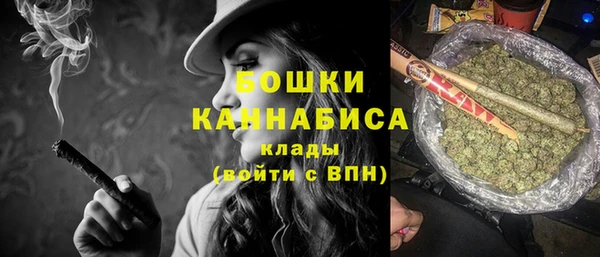 молекула духа Бородино