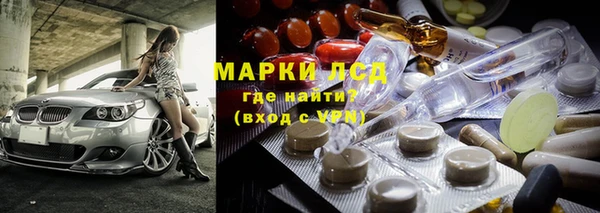 шишки Медногорск