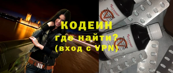молекула духа Бородино