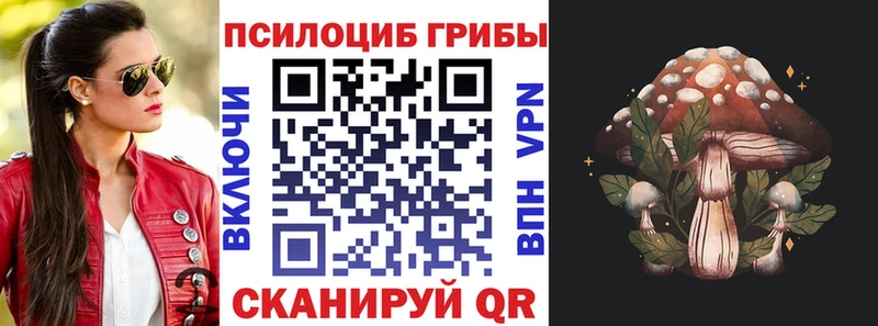 где найти наркотики  Верхоянск  Галлюциногенные грибы Psilocybine cubensis 