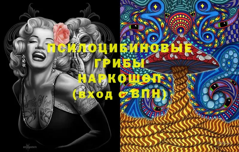 Псилоцибиновые грибы Cubensis  как найти закладки  Верхоянск 